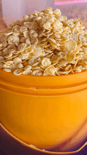 Cornflakes (Measured)