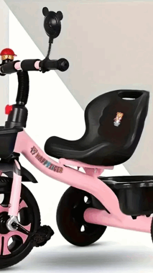 Stainless Steel Pedal Tricycle for Kids 3-6 Years - Boys and Girls Bike