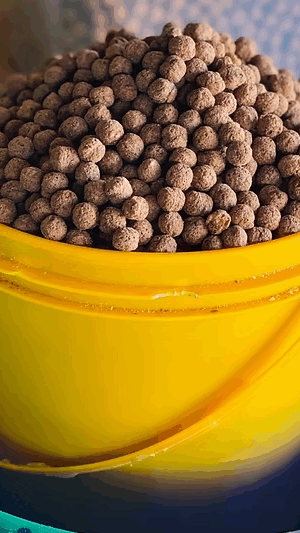 Cocoa Balls (Measured)
